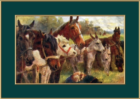 Frames Set 12 (Wild Berries) by Deloraine Neubauer