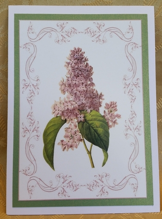 Beautiful Delicate Floral A4 Topper/card by Deloraine Neubauer