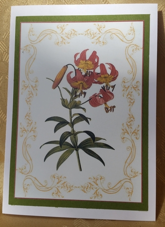 Beautiful Delicate Floral A4 Topper/card by Deloraine Neubauer
