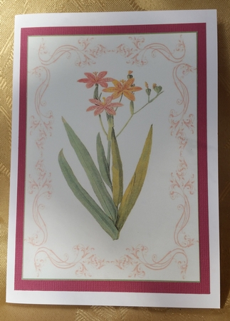 Beautiful Delicate Floral A4 Topper/card by Deloraine Neubauer