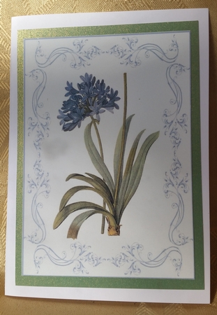 Beautiful Delicate Floral A4 Topper/card by Deloraine Neubauer