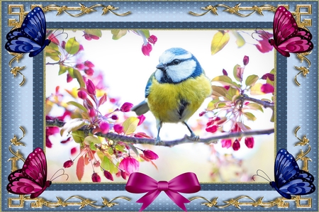 20 Colorful Butterflies by Deloraine Neubauer