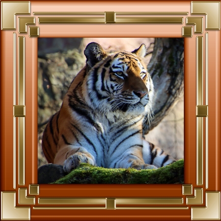 Golden Ombrae Frames 2-woodlands by Deloraine Neubauer