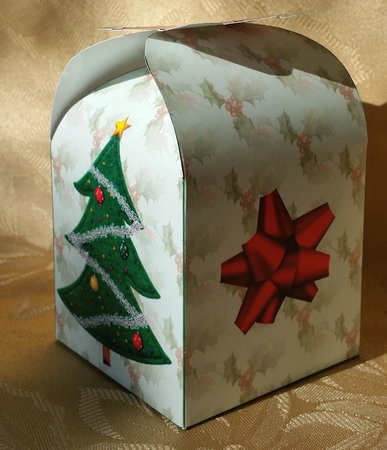 Poinsettia Box (5) by Deloraine Neubauer
