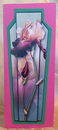 Art Deco Large Dl Topper - Bearded Iris by Deloraine Neubauer