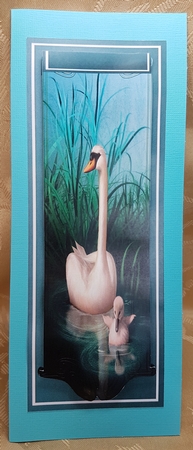 Lovely Swan and Cygnet in the Reeds  by Deloraine Neubauer