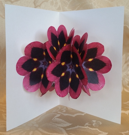Pop-flower Card Kit - Burgundy Beauty by Deloraine Neubauer