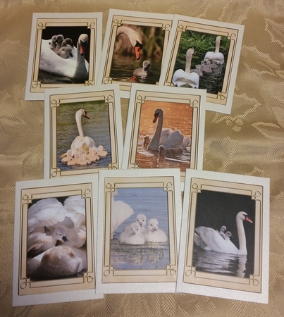 Swan Family Tags by Deloraine Neubauer