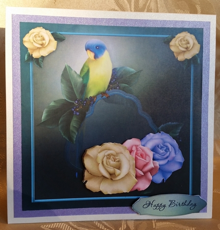 Wonderbird 8x8 Card Front Kit  by Deloraine Neubauer