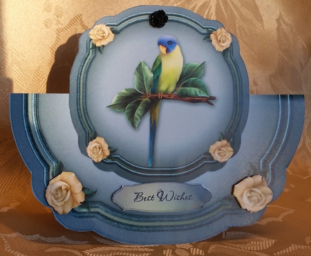 Wonderbird 8x8 Card Front Kit  by Deloraine Neubauer