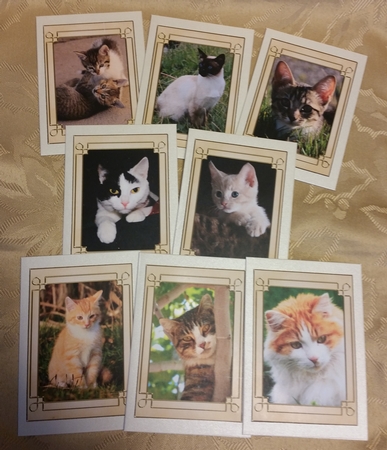 Cats Tags / Note cards by Deloraine Neubauer