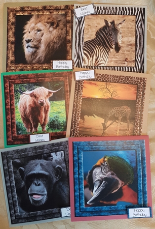 Animal Magic 8x8 Bumper Kit by Deloraine Neubauer