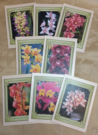 Orchids Tags / Mini Cards by Deloraine Neubauer