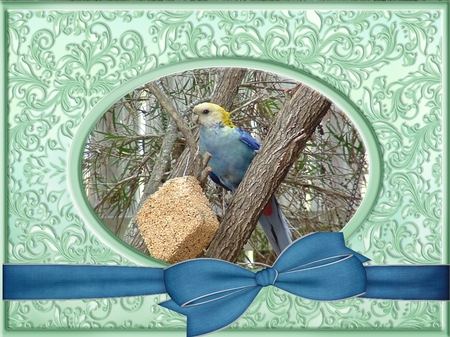 By the Waters Edge Colors Digital Bows pkg 2 by Deloraine Neubauer