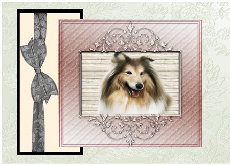 Healthy Lifestyle Colors Digital Bows pkg 2 by Deloraine Neubauer