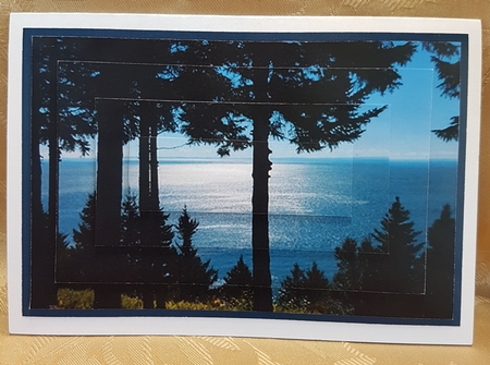 Natures Beauty - Fundy Trail National Park, NB, Canada by Deloraine Neubauer
