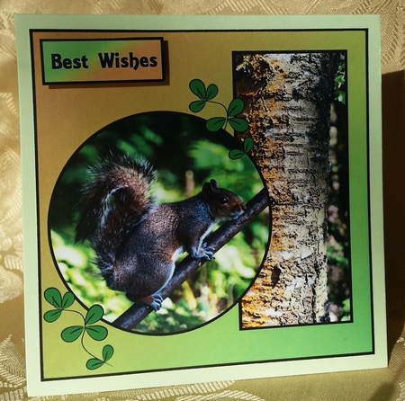 Squirrel Birthday by Deloraine Neubauer