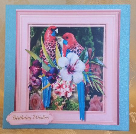 Stunning Parrots in Pink Frame  by Deloraine Neubauer