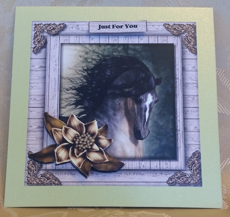 Male Card beautiful Horse & Winter Flowers 4 by Deloraine Neubauer