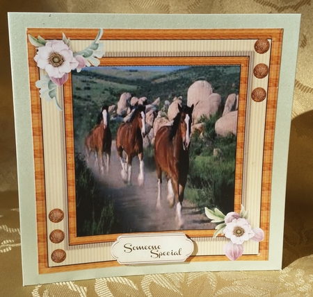 Beautiful Horses at the Gallop  by Deloraine Neubauer