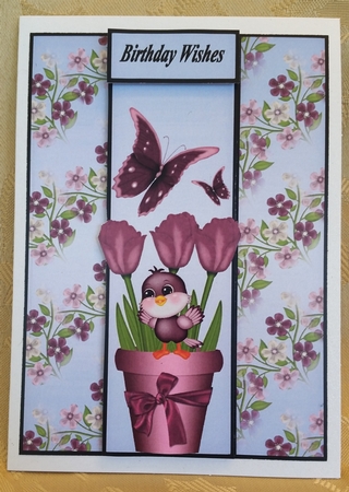 Little Bird by Deloraine Neubauer