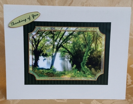 Mary Holland Park Scenic Quick Card B by Deloraine Neubauer