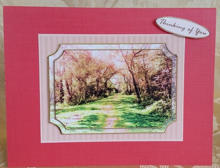 Saddle Creek Park Scenic Quick Card A by Deloraine Neubauer