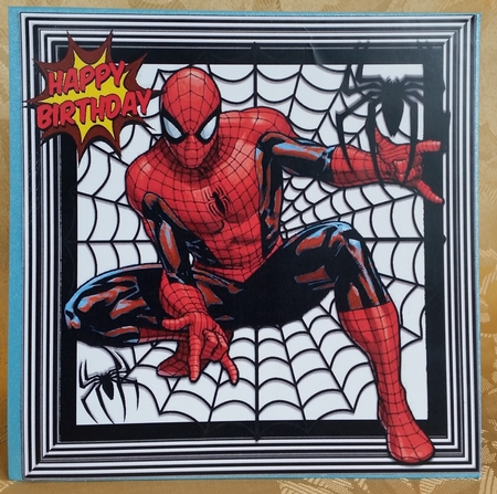 super hero in spider web 8x8 by Deloraine Neubauer
