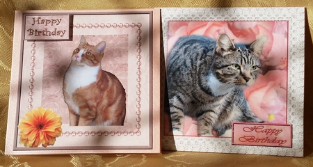 2 Cat Toppers by Deloraine Neubauer