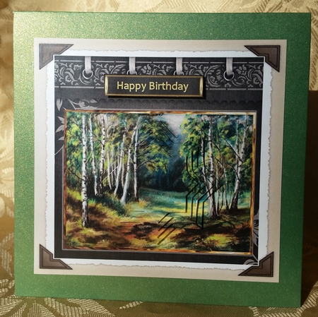In the woods by Deloraine Neubauer
