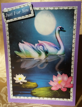 swans by Deloraine Neubauer