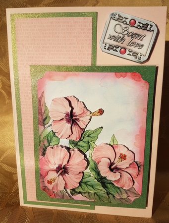 Labelled with Love - Hibiscus by Deloraine Neubauer
