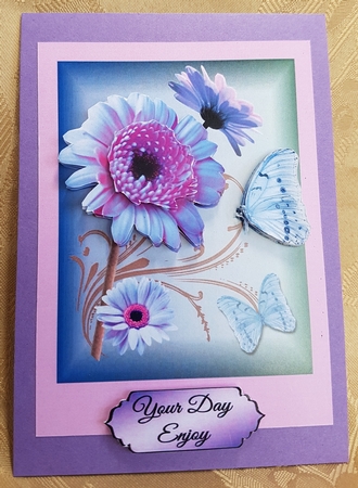 purple gerbera by Deloraine Neubauer