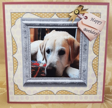 YELLOW LAB SLEEPY by Deloraine Neubauer