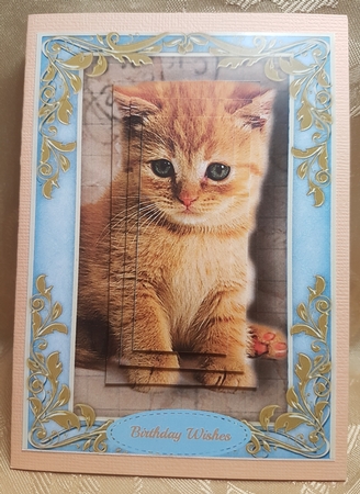 Beautiful Ginger Kitty ( Pyramid ) by Deloraine Neubauer
