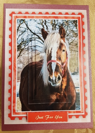 Beautiful Pyramid Horse  by Deloraine Neubauer