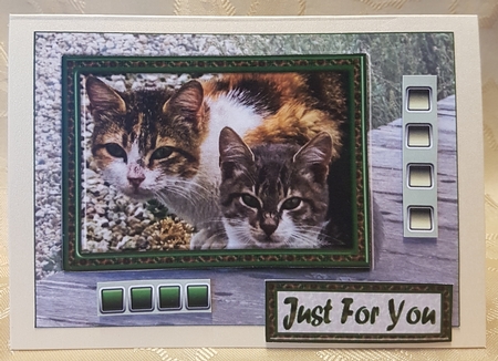 JJ FRIENDS FOREVER CATS KIT by Deloraine Neubauer