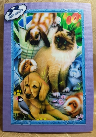 Our Furry Friends by Deloraine Neubauer