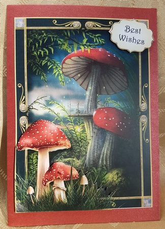 The Land Of Shrooms A5 by Deloraine Neubauer