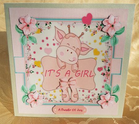 A Bouncing Baby Girl by Deloraine Neubauer