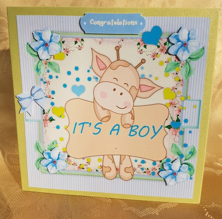 A Bouncing Baby Boy by Deloraine Neubauer
