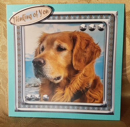  JJ LOVE MY DOG GOLDEN RETRIEVER 8X8 by Deloraine Neubauer