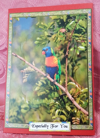 Australia Sucking Honey Parrot by Deloraine Neubauer