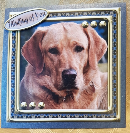 JJ LOVE MY DOG LABRADOR RETRIEVER 8X8 YELLOW by Deloraine Neubauer