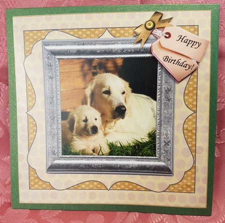 GOLDEN RETRIEVER AND PUP - GET WELL & VARIOUS SENTIMENTS by Deloraine Neubauer