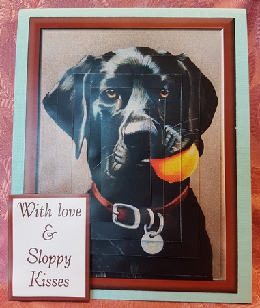 Bruce wants to play ball Pyramid by Deloraine Neubauer