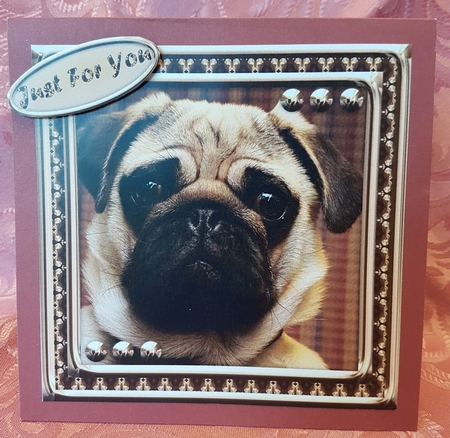 JJ LOVE MY DOG 8X8 PUG by Deloraine Neubauer