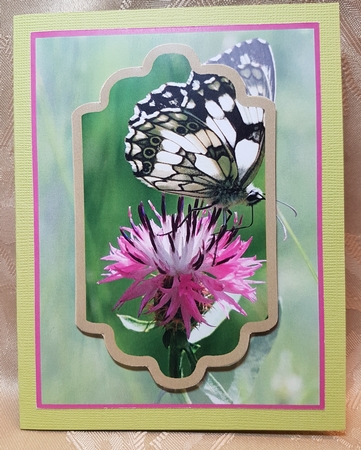 Gallery Item Handmade Craft Photo