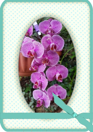 Ribbon frames by Deloraine Neubauer