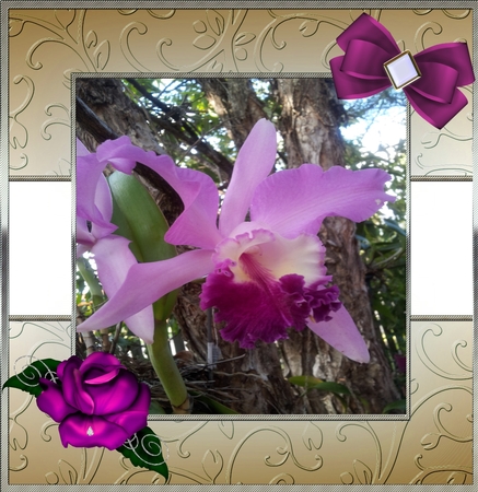Frames galore 2400 x 2400 cu ok  by Deloraine Neubauer